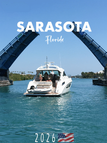 Leslie's Feb 2026 Blog